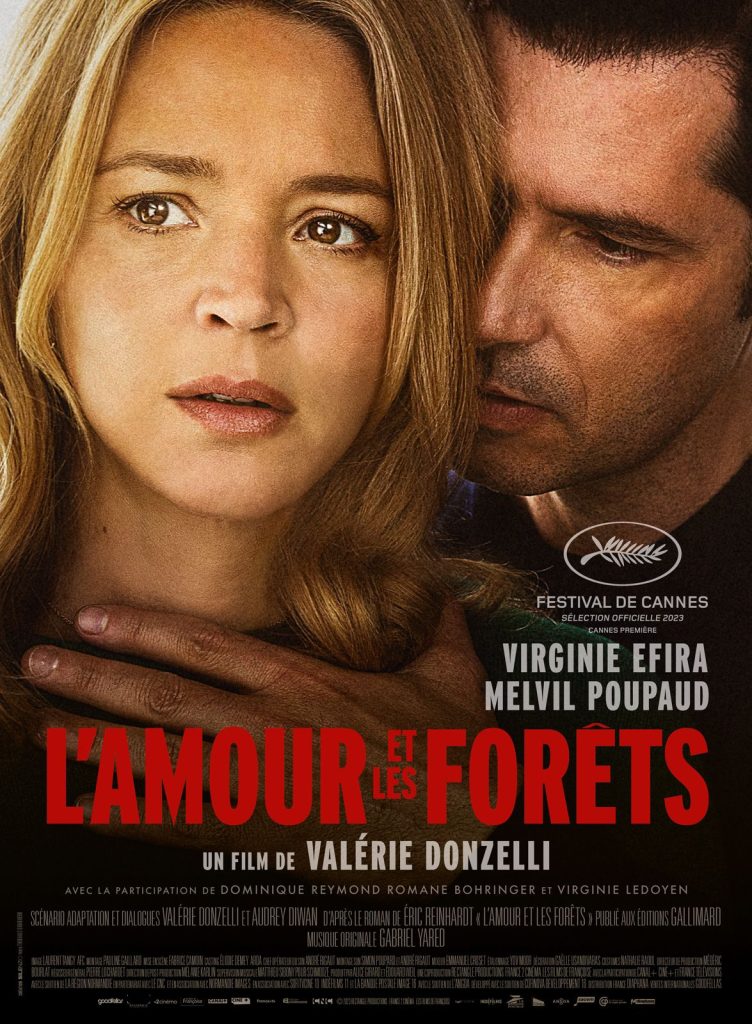 violences-conjugales-emprise